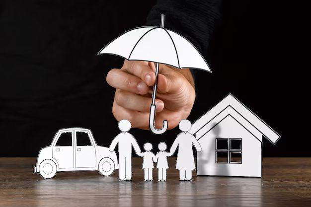 Vehicle and Asset Insurance